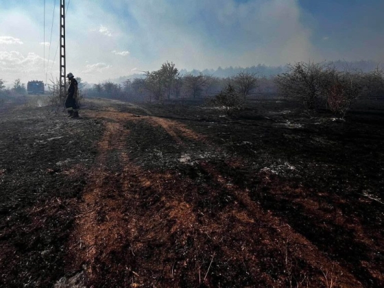 Nagy területen pusztított tűz Tapolcánál, helikopterekkel oltották