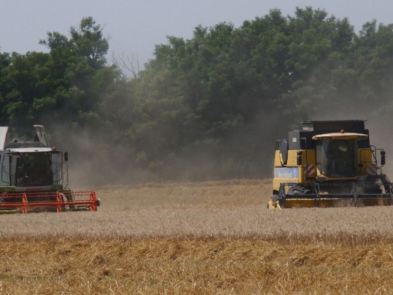 Itt a vége: kiderült mennyi agrártermék került le a magyar földekről – nagyon nincs ok az örömre