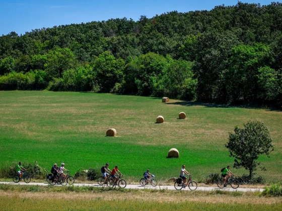 Stoplinyomon két keréken: Balaton-felvidéki Hátsó füves-biciklitúra