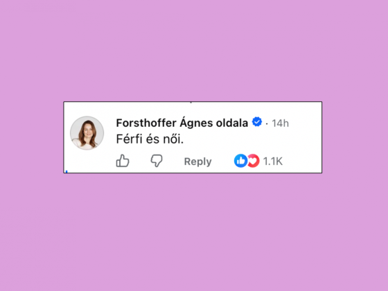 Forsthoffer Ágnes kommentben tette helyre Magyar Pétert