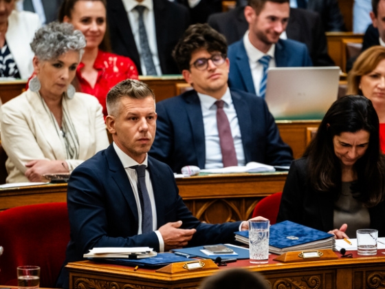 Súlyos az összezördülés, Unger Anna ügye felkavarta a Tisza táborát
