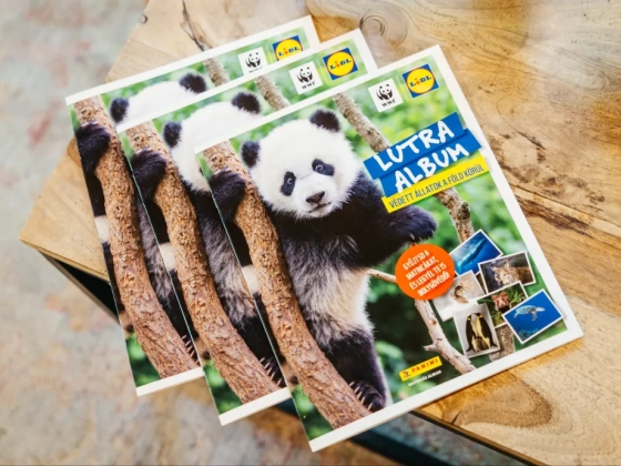 Emlékszel a Lutra albumra? Már mai gyerekek is gyűjthetik a matricákat!