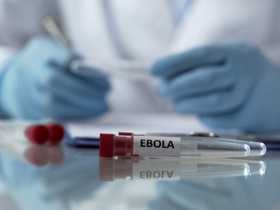 Tovább szedi áldozatait a kongói ebolajárvány