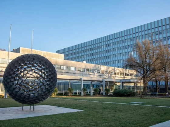 Fontos lépést tettek szegedi kutatók az immunsejtek válaszait meghatározó folyamatok megértésében