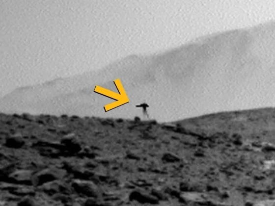 Földönkívüli medúza a Marson? A tudósok is csak találgatnak, mit rögzített a NASA kamerája
