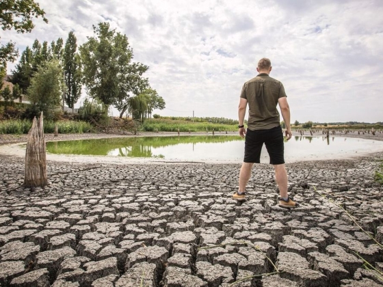 Az unióban sem állt a gazdák mellé a Tisza Párt – hiába az agrárválság, nem emelik a segélyalapot