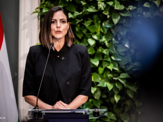 Az áfacsökkentéssel együtt rögzítik is a tűzifa árát