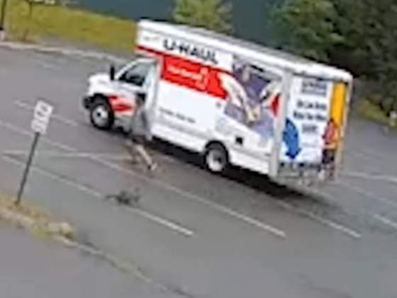Egy rejtélyes, agresszív állat támadta meg az embereket, már a rendőrség is lépett