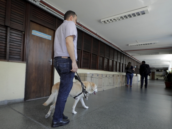Megjelent a kormányrendelet: már póráz nélkül is sétáltathatók a segítő kutyák
