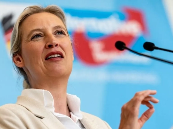 Politikai forradalom készül Németországban, történelmi győzelemre készül az AfD
