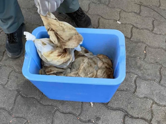 Gyümölcsök közt akartak becsempészni több ezer piócát az országba