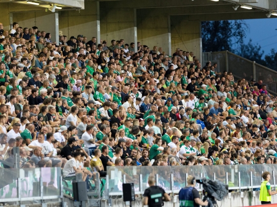 Brutálisan kemény üzenet a győri ultráktól Borbély Balázsnak: „25 milliárdból egy patkányra futotta” – fotó