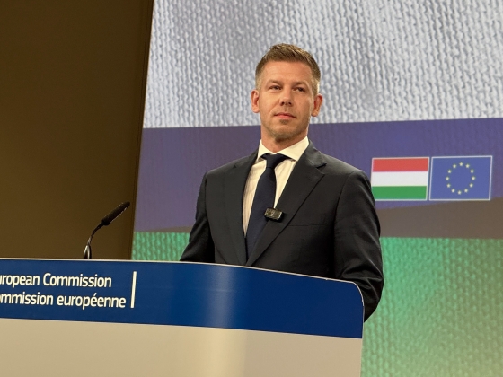 Magyar Péter bejelentette: leállították a Mandiner finanszírozását, a vezérigazgatót felmentették