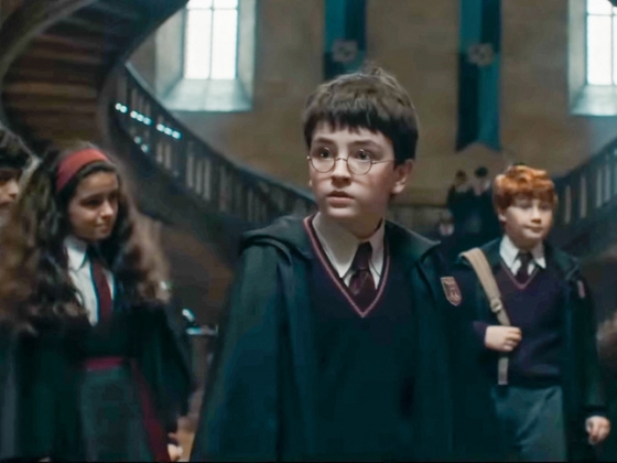 Újabb nagy nevek csatlakoztak a Harry Potter-sorozathoz, Voldemort és Dobby szerepe is gazdára talált