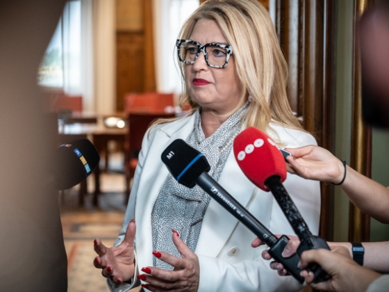 Hallerné Nagy Anikó elárulta, mit mondott neki Magyar Péter, miután elvette tőle a szót