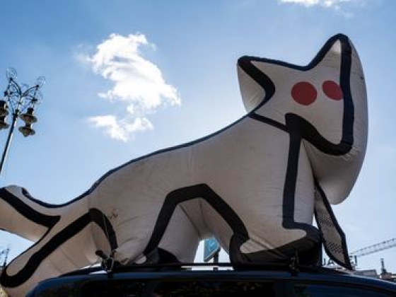 Nagy megújulásról döntött a Kutyapárt, visszavonulót fújt a hegyvidéki polgármester