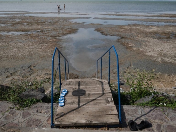 Hatan haltak meg idén a Balatonban, a vízirendőrök szerint új veszély fenyegethet a jövőben