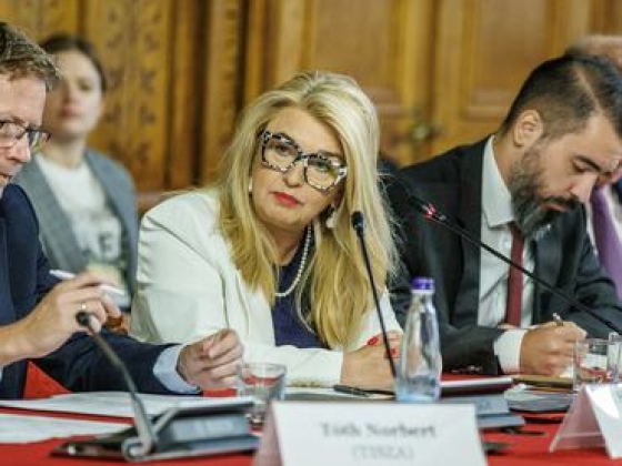 Megszólalt az Országgyűlés alelnöke: nem is volt pontokban kifejezhető, objektív rendszer az NVHH-pályázaton