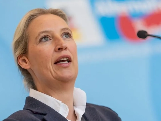Exit poll: Elsöprő választási győzelemre készül az AfD Szász-Anhalt tartományban