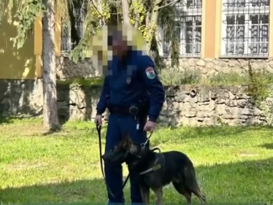 Most tanul újra járni a rendőr, akit júliusban gázoltak el Tolnában – videó