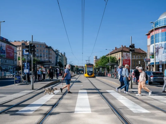 Ezeken a budapesti helyeken lesznek új zebrák, a Széna téren már elkészült a beruházás