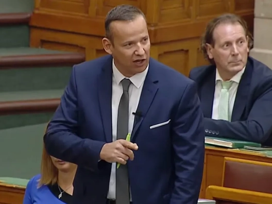 Videón, ahogy Toroczkai László, a Mi Hazánk elnöke gyáva, undorító féregnek nevezi Magyar Pétert