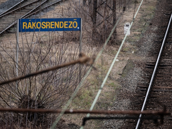 Önkényes lakásfoglalók tették élhetetlenné a környéket, most gépekkel rombolják le a házakat