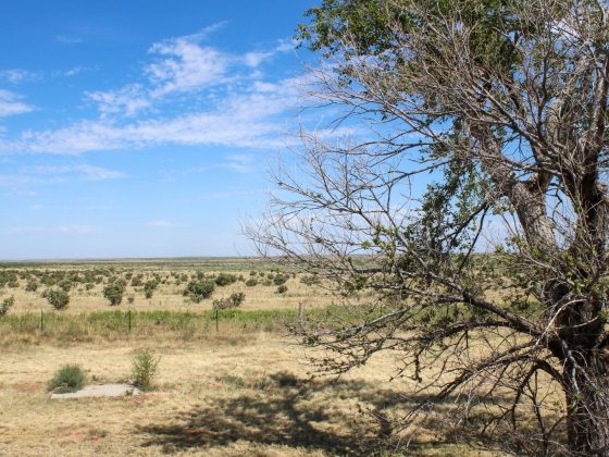 Elsivatagosodás fenyegeti Magyarországot - Gyökeres fordulat következik