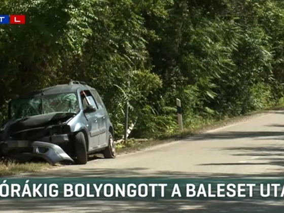 Fának csapódott, majd eltűnt egy férfi Szentendrénél, 14 órával később találták meg az erdőben