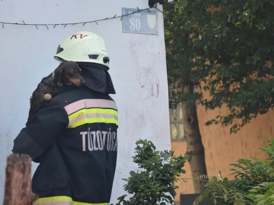 Kiskutyát mentettek az égő házból a tűzoltók Somogysárdon – videó, fotók