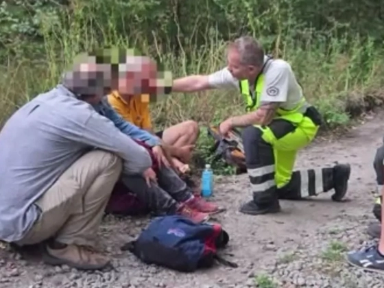 Balesetet szenvedett, majd 14 órán át bolyongott az erdőben a zavart férfi