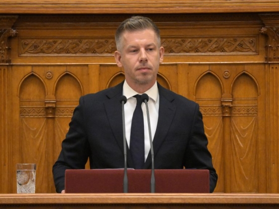 Hallerné Nagy Anikó vezeti a parlament üléset