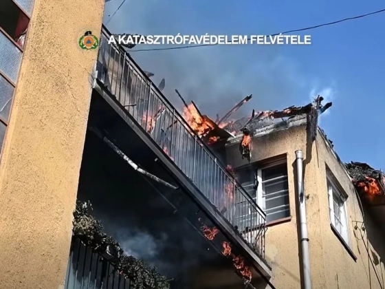 Videón a Stefánia úti tűz: gyerekekkel és kutyákkal a karjaikban menekültek a lakók lángoló társasházból