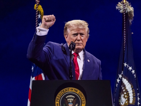 Trump gratulált az AfD választási sikeréhez