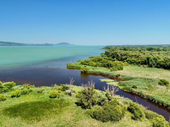 A Balaton jövője a tét: uniós biztossal tárgyalt Forsthoffer Ágnes – Brüsszel figyelme is a tóra irányult