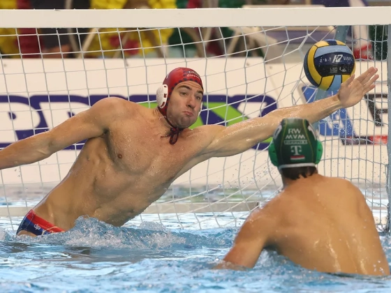 Szoros első negyed után sima FTC-győzelem a Vasas ellen