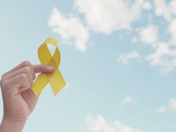 Három budapesti centrumkórháznak sincs kötelező eljárásrendje az öngyilkossági kísérletet túlélők ellátására