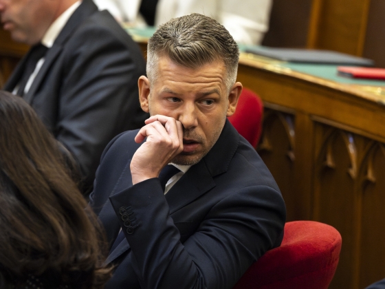 „Éheztetés és bántalmazás a hatalom tudtával” – Magyar Péter gyermekvédelmi jelentést hoz nyilvánosságra szombaton