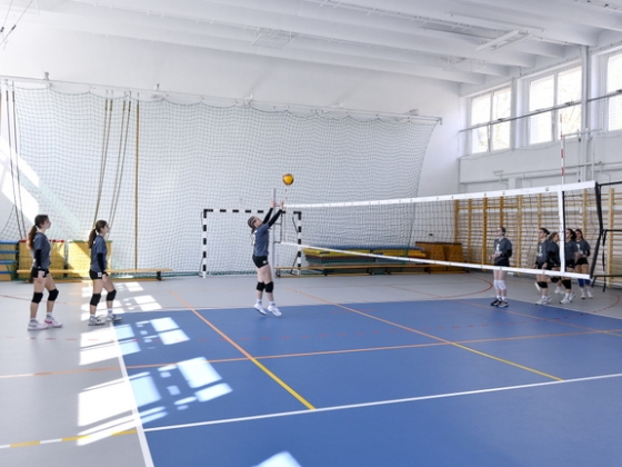 Az Állami Számvevőszék kimondta: közpénz a sporttao, most a rendszer átalakítását sürgeti