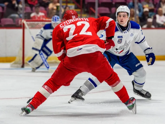 Szongoth Domán ott lesz a Buffalo Sabres táborában