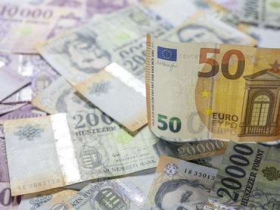 Egyensúlyt követel magának a forint az euróbevezetés előtt, és ez fejtörést okozhat