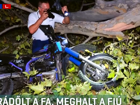 Meghalt egy 16 éves fiú, akire fa zuhant a viharban Kiskunfélegyházán