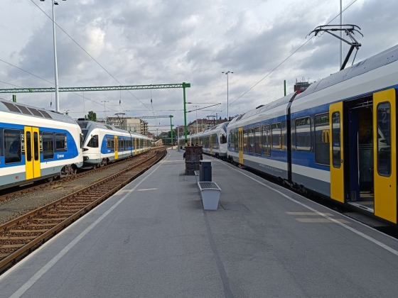 Egy madár miatt lyukadt ki egy mozdony teteje a Déli pályaudvaron