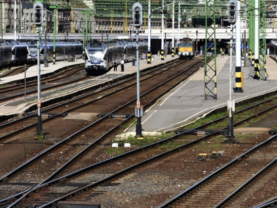 Egy madár miatt lyukadt ki egy mozdony teteje a Déli pályaudvaron