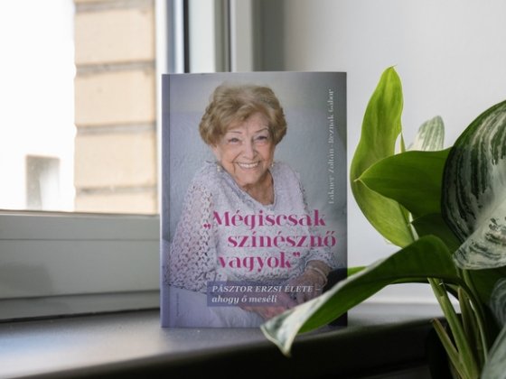 Két fiatalember csöngetett be a színésznőhöz, különös ötlettel álltak elő