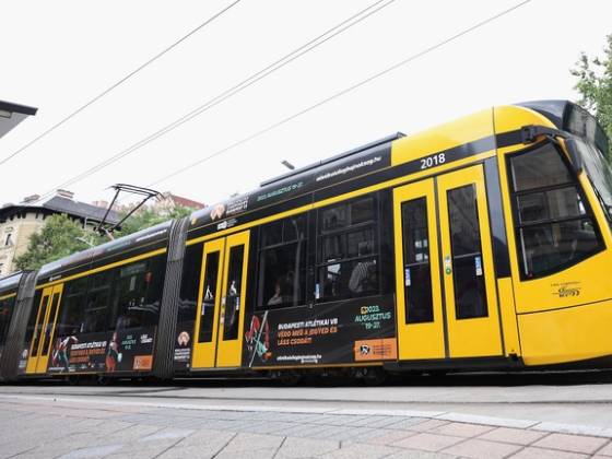 Rács mögé kerülhet a 4-es villamos késelője, kiderült, mi vezetett a támadáshoz