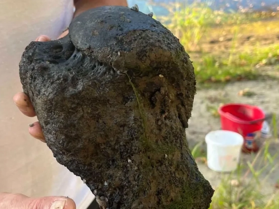 Megint valami különlegeset rejtegetett a Tisza, most ez került elő