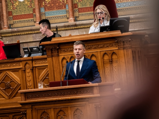 Társadalmi giccs egy abszurd térben – a szembenézés esztétikájáról és lehetőségeiről