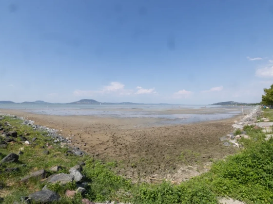 A Balaton-part egyre gyorsabb beépítése elleni tiltakozáshoz csatlakoztak a kutatók