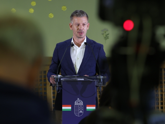 Magyar Péter név szerint sorolta mely volt kormányzati vezetőket tart felelősnek a gyermekvédelmi válság kapcsán, szerinte nem tettek semmit, pedig tudtak mindenről